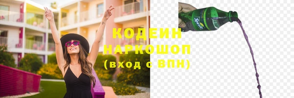дурь Алзамай