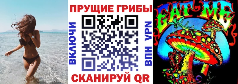 Псилоцибиновые грибы мицелий  где продают   Дмитриев 